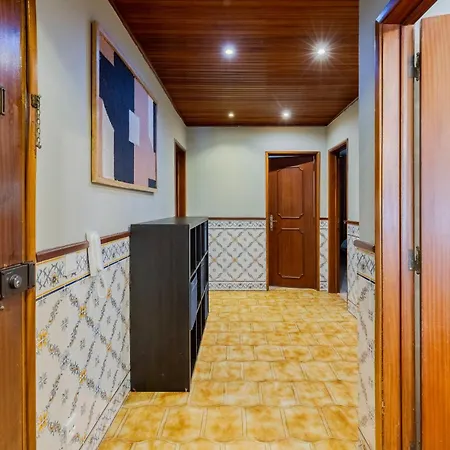 Viso - By Y Concept * 세투발