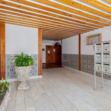 Viso - By Y Concept *