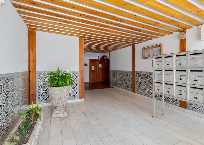 Viso - By Y Concept *